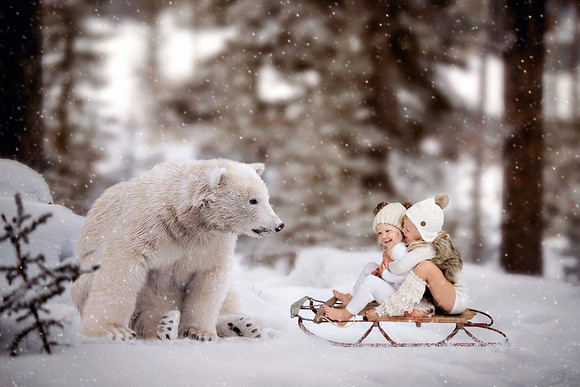 PolarBearForestSledSamsDreamThemes