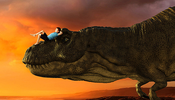 TrexSunrise1