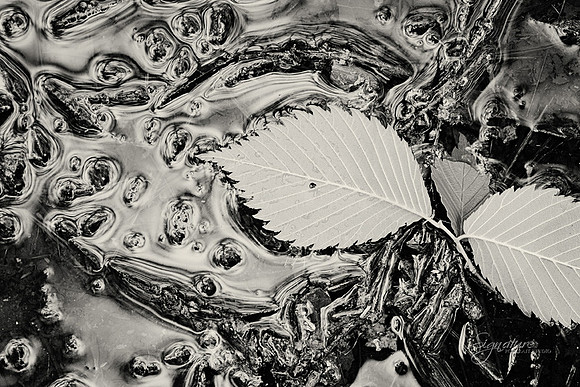 9465 bw