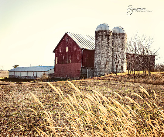 barn 20x24