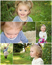 291 - blogboard